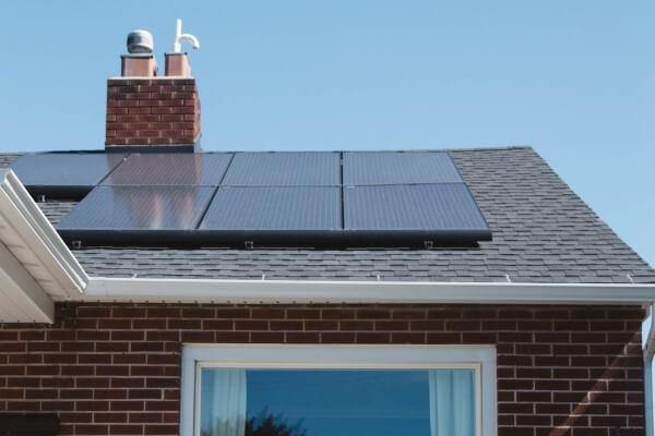 PEST CONTROL BROXBOURNE, Hertfordshire. Services: Solar Panel Bird Proofing. Protect Your Solar Panels from Avian Threats with Local Pest Control Ltd's Expert Bird Proofing Services in Broxbourne